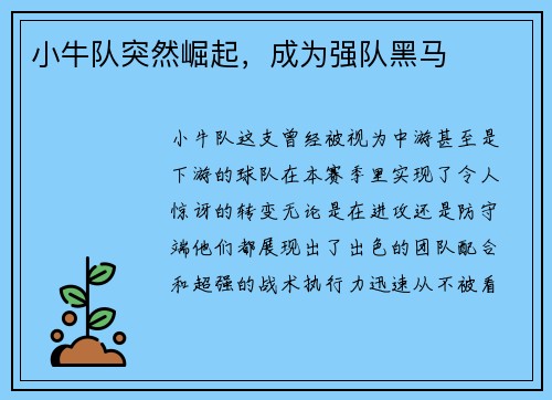 小牛队突然崛起，成为强队黑马